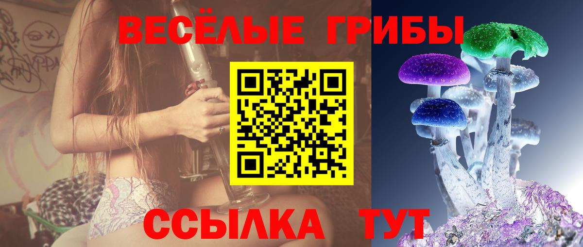 Галлюциногенные грибы Magic Shrooms  Вход с VPN  Галлюциногенные грибы GOLDEN TEACHER  Братск 